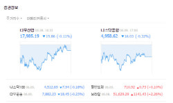 [미국증시] 금융·에너지주 약세…다우 0.11% 하락 마감