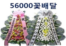 전국 꽃배달 56000꽃배달, 근조·축하·화환 전국 당일 꽃배달 서비스 여름특가