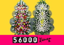 전국꽃배달서비스 ‘56000꽃배달’, 근조, 축하, 개업 등 화환당일배송 할인