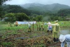 석탄공사, 정부 3.0 실현  농촌봉사활동 전개