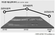 [그래픽뉴스] 카드론 내몰인 서민들 '빚폭탄' 우려