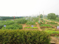 광명시, 옥길 시민주말농장 텃밭 가꿀 가족 모집합니다