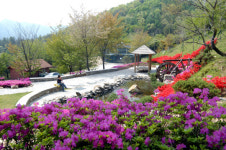 화순 백아산 자연휴양림 새단장