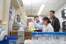 [에너지 산학 클러스터 <8>] 세계적 기술로 녹색국가 꿈꾸다