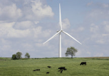 ‘세계 최대 산유국’ 사우디, 풍력발전 본격 시동