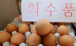 ‘살충제 계란’ 회수작업 한창…제주 ‘08광명농장’ 계란 폐기