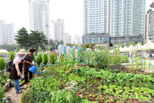 화성시, 동탄복합문화센터에서 도시농업 박람회 열어