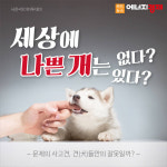 [카드뉴스] 세상에 나쁜 개는 있다? 없다?...문제의 사고견, 견(犬)들만의 잘못일까?