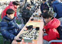 화성시, ‘2017 대한민국 바둑대축제’… 동탄2신도시 여울공원서 열려