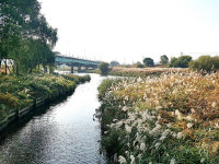 오산천, 환경부 생태하천복원사업 우수 하천으로 선정