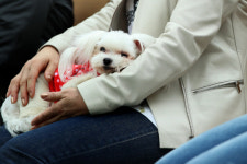 저출산·1인가구 시대…산부인과 줄고 편의점·동물병원 늘었다