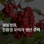 [카드뉴스] 하늘정원, 친환경 오미자 생산 주력