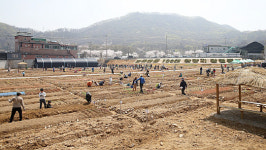 광명시, 친환경 시민주말농장 참여가족 모집