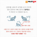 [카드뉴스] 동물들도 혈액형이 있다?