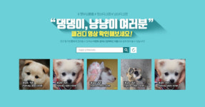 교보라이프플래닛, 반려동물 위한 (무)펫사랑m정기보험 광고 영상 패러디 이벤트 진행