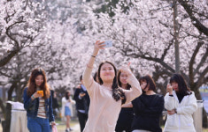 순천향대, 건학 40주년 기념 ‘제2회 벚꽃음악회’ 개최