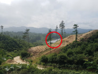 [창간 29주년-태양광 빛과 그림자] 철원 vs 정선, 태양광, 극과 극인 이유는?