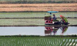 [내일날씨] 맑고 더운 현충일…서울 낮 29도, 자외선·오존 주의