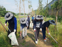 용인시 처인구, 공원환경과 직원들 메타세쿼이아길 청렴 봉사 펼쳐