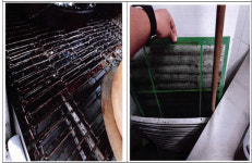 BBQ·bhc·네네치킨·홍콩반점 등 대형프랜차이즈 식품위생법 위반