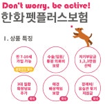 스몰티켓-한화손보, 슬개골 탈구 보장 펫플러스 보험 출시