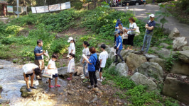 안양시, 수리산 일대 162종의 동·식물 서식 확인