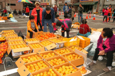 구례 5일시장, 감 구경에 시끌벅적