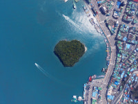 완도의 보물, 주도 상록수림(일명 ‘하트섬’) 보수 치료 중