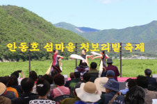 제2회 안동호 섬마을 청보리밭 축제 개최