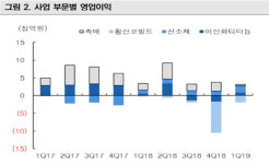 [기업분석] 코스모화학, 코스모에코켐의 올해 실적을 주목하자