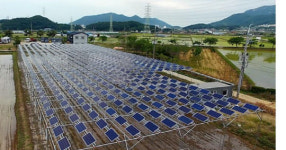 농가태양광 정책, 현실반영 못해...실효성 없다