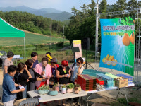 진도군, 멋과 맛 알리는 ‘팜파티’ 호평