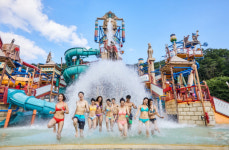 문가비의 댄스, 흔들다리 새로 설치...올해도 하태핫태한 오션월드