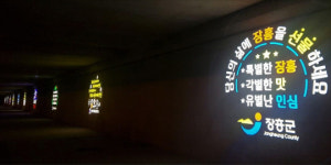 장흥군, 장흥대로 하부 탐진강에 ‘빛 광고판’ 설치