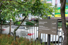 교촌치킨, 인천 봉화초등학교에 미세먼지 저감 숲 조성