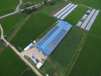 해줌, 전국에 300kW 축사 태양광 발전소 준공