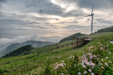 [여랭&레저]알프스 같은 평창, 독특한 지형의 영월은 강원도의 보배