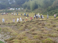 구미시, 태풍 피해농가 일손돕기 실시