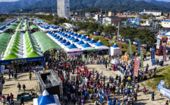 2019경북영주 풍기인삼축제, ‘첫 주말 구름 인파’… 2021 풍기세계인삼엑스포 ‘파란불’