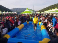 제2회 진도 수산물 축제, 오는 26일 개막