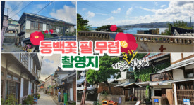 요즘 포항에서 가장 핫한 곳 어디? 구룡포 일본인 가옥거리!