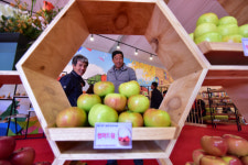 제15회 청송사과축제, 팡파르 ‘산소카페 청송군, 황금사과의 유혹 속으로’