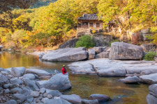 [여행&레저]발길 닿는 곳 마다 울긋불긋...단풍이 곱게 내려앉은 괴산