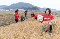농심켈로그, 충남 서천군 현미 농가서 수확의 기쁨 나눠