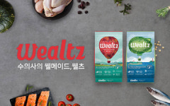 수의사의 웰메이드 ‘웰츠’, 2019 케이펫페어 일산 참가