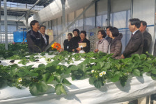 양주시, ‘2019 농업 산·학 협동심의 분과위원회’ 현장평가회 개최