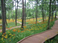 ‘명절나들이는 아름다운 숲이 최고’ 이번 명절에는 경북의 산림에서 휴식