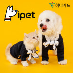 하나카드, 카드사 최초 반려동물 보험상품 한눈에…i pet 사이트 공개