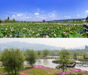 부산시, ‘삼락생태공원’ 지방정원 등록 추진