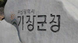 기장군, ‘정관신도시’ 정전 피해 접수 내달 6일부터